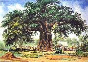 Thomas Baines Baobab Tree Sweden oil painting artist